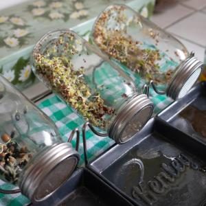 Our Guide to Growing Sprouts - Million Gardens Movement